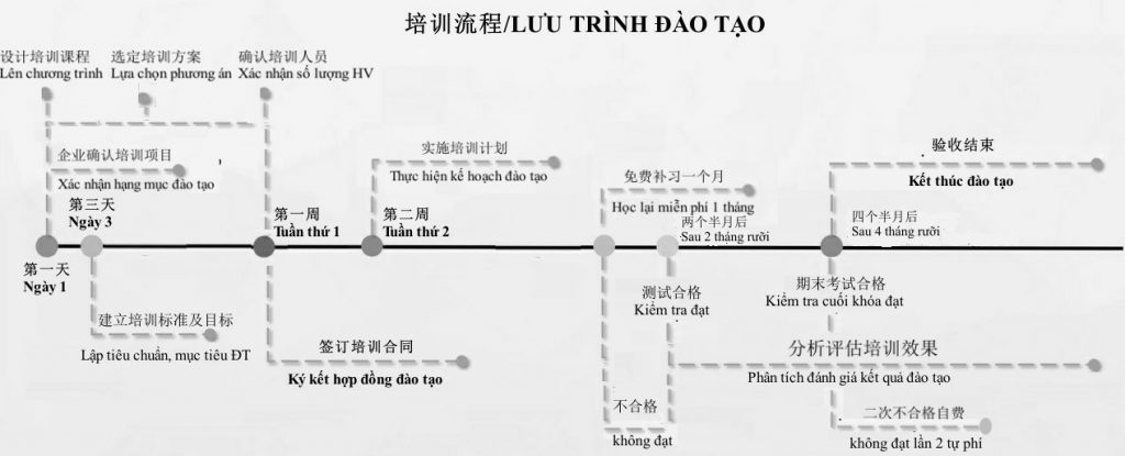 Qui trình tư vấn 3 bước khóa tiếng Trung dành cho Doanh nghiệptại 3CWOW